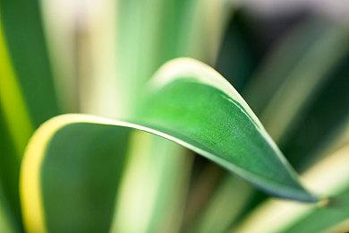 致聚光灯外的创作者们_Y3编辑器